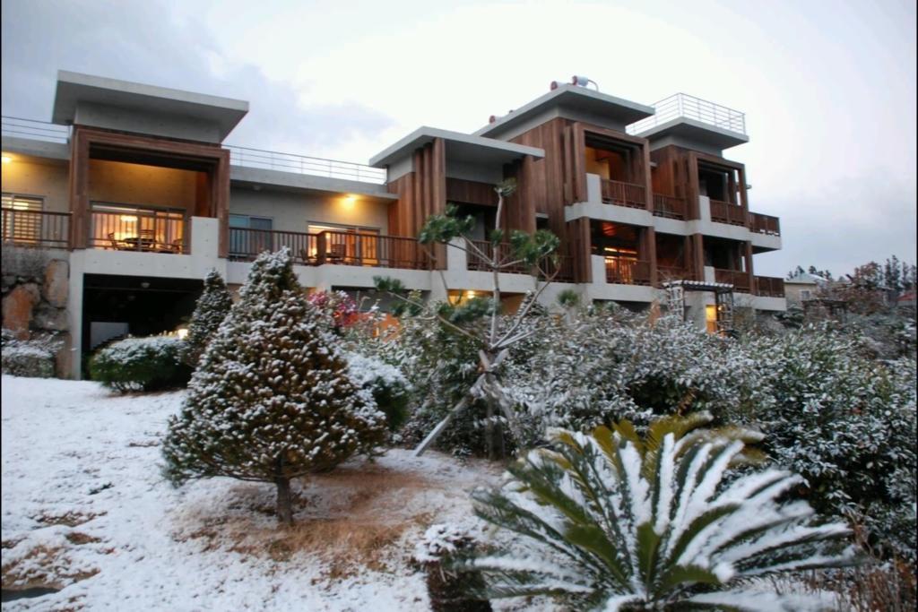 Jeju Eco Suites Seogwipo Exterior foto
