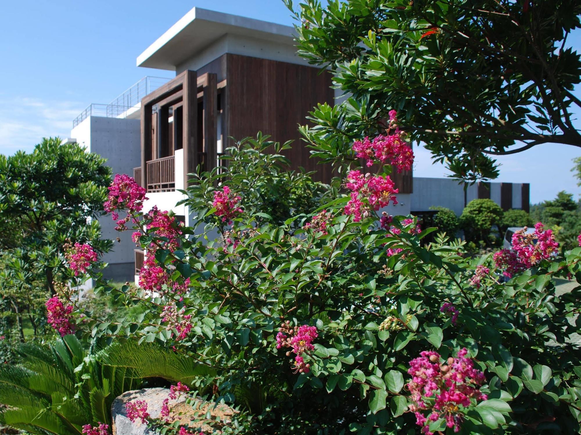 Jeju Eco Suites Seogwipo Exterior foto